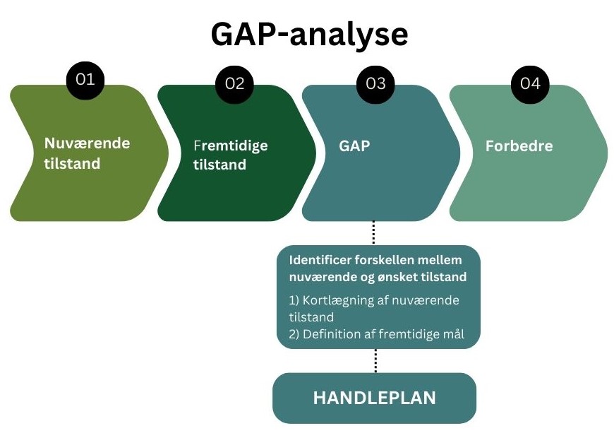 GAP-analyse, dansk udgave.jpg