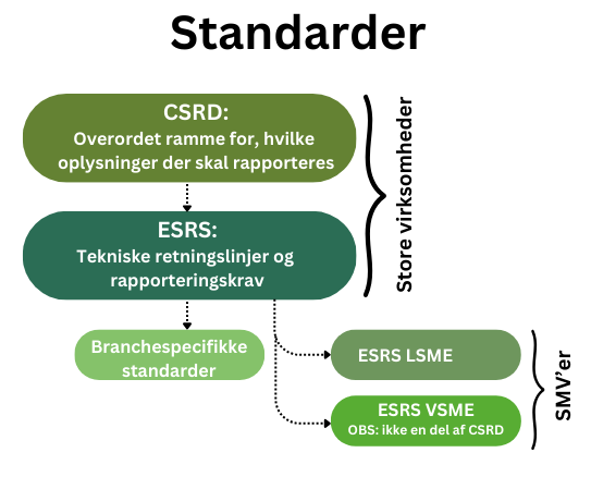 CSRD, ESRS, LSME, VSME med overskrift.png