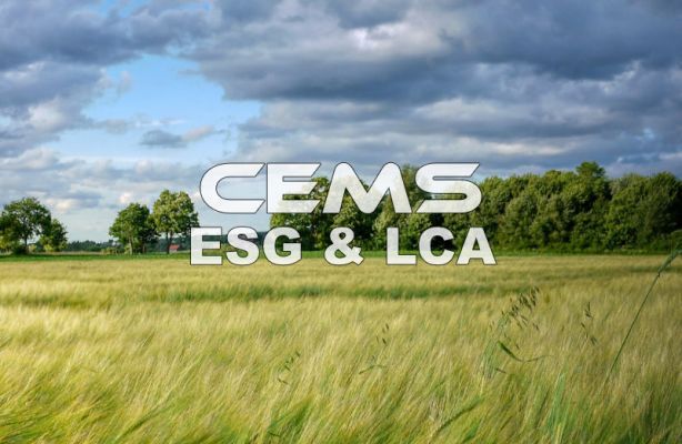 ESG CO2e UDLEDNING OG REDUKTION & LCA