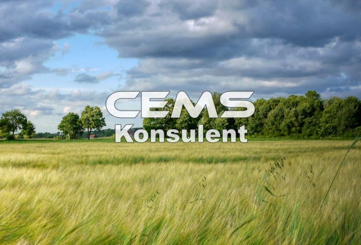 cems_product_foto_konsulent.jpg